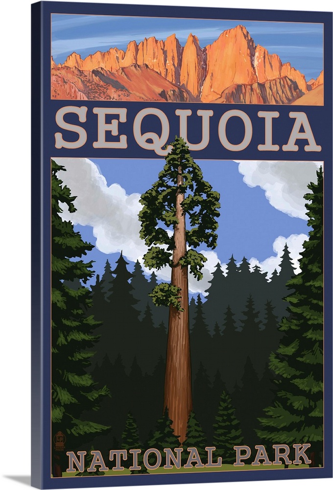 Sequoia National Park - Sequoia Tree and Palisades: Retro Travel Poster
