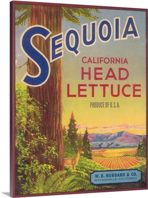 Sequoia Vegetable Label, Watsonville, CA