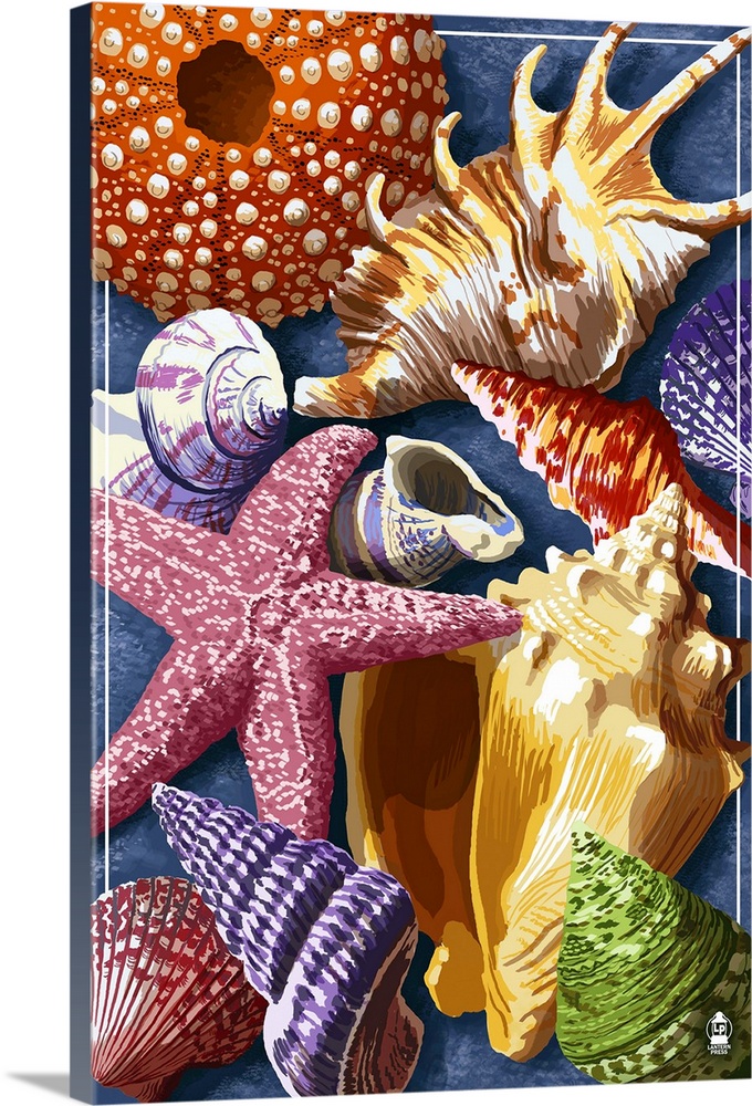 Retro stylized art poster of seashells and starfish, collectively laying together.