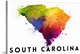 image thumbnail of South Carolina - State Abstract Watercolor