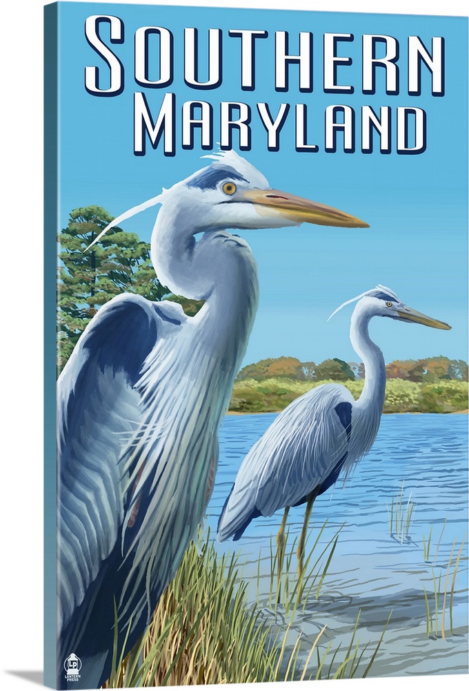 Southern Maryland, Blue Herons Wall Art, Canvas Prints, Framed Prints