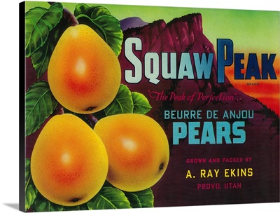 Squaw Peak Pear Crate Label, Provo, UT