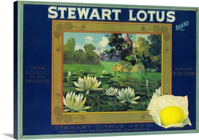 Stewart Lotus Lemon Label, Upland, CA
