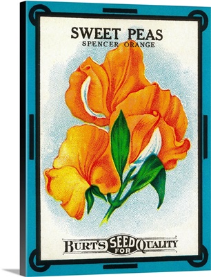 Sweet Peas Seed Packet