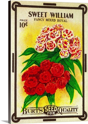 Sweet William Seed Packet