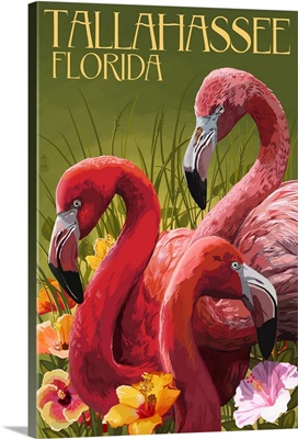 Tallahassee, Florida, Flamingos