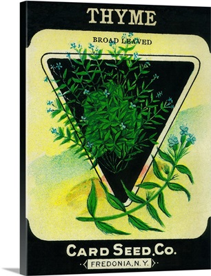 Thyme Seed Packet
