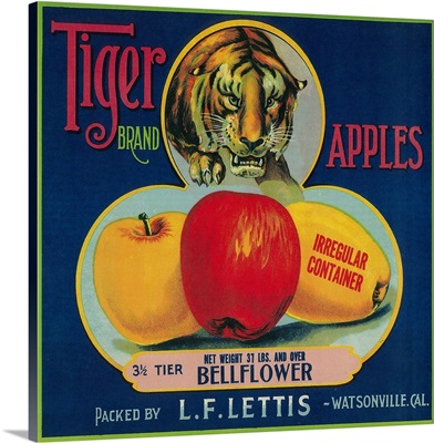 Tiger Apple Crate Label, Watsonville, CA