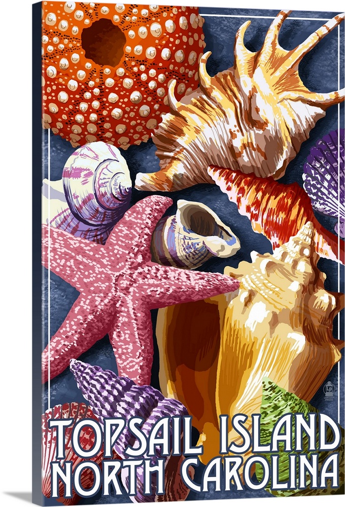 Topsail Island, North Carolina, Shells Wall Art, Canvas Prints, Framed