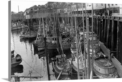 Trolling Fleet at Ketchikan, Alaska