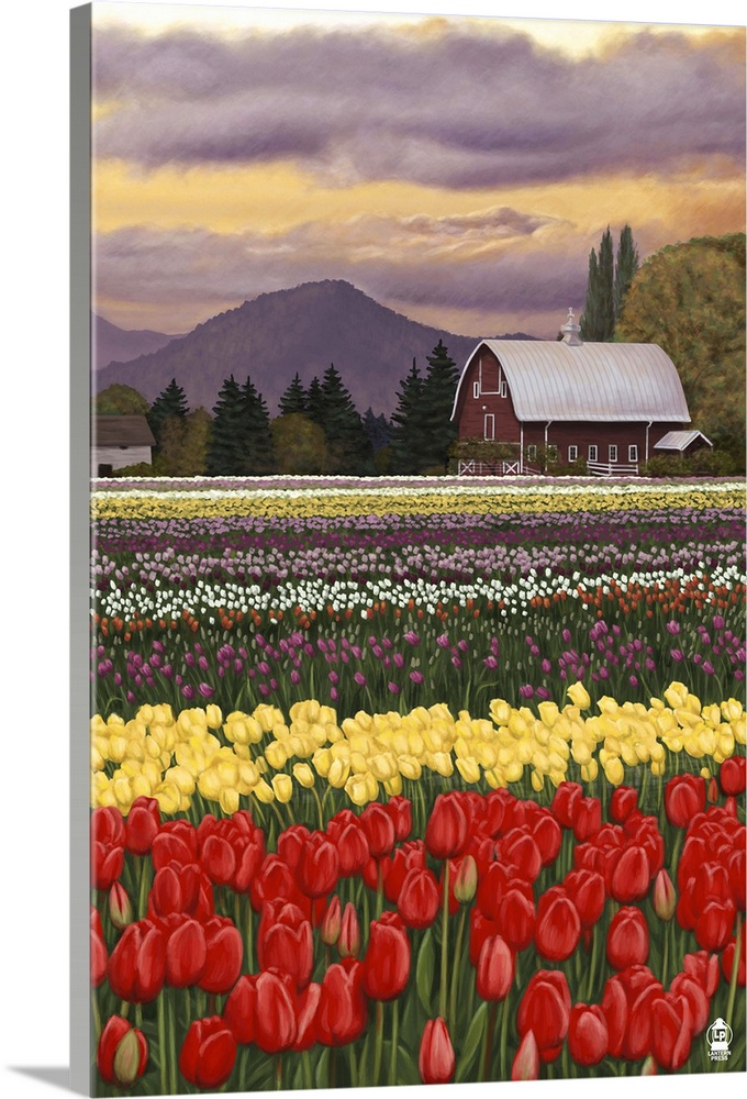 Retro stylized art poster of a tulip farm, with a large field full of tulips and a barn in the background.