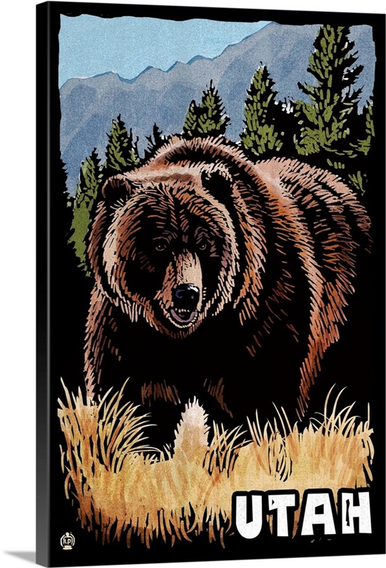 Utah, Grizzly Bear, Scratchboard Great Big Canvas