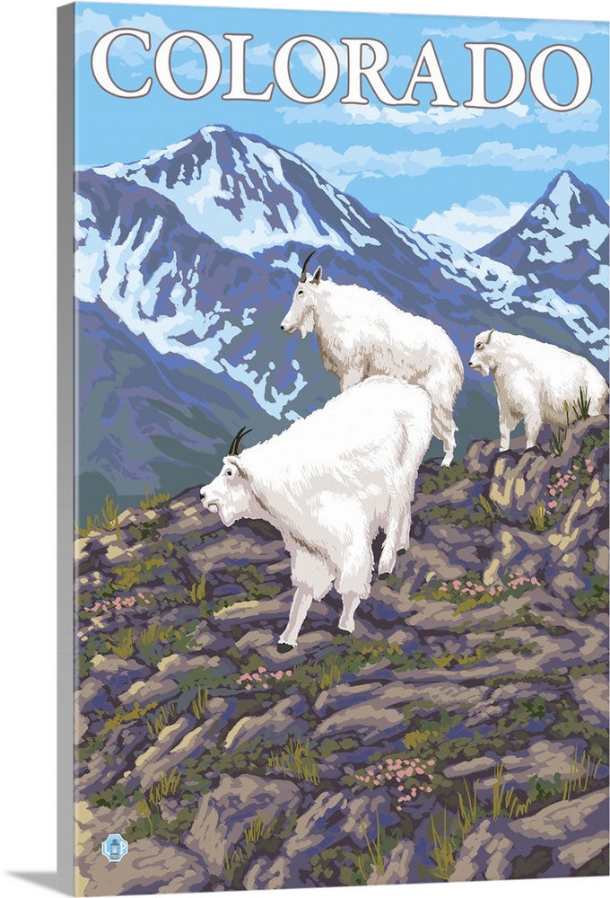 White Mountain Goat Family - Colorado: Retro Travel Poster