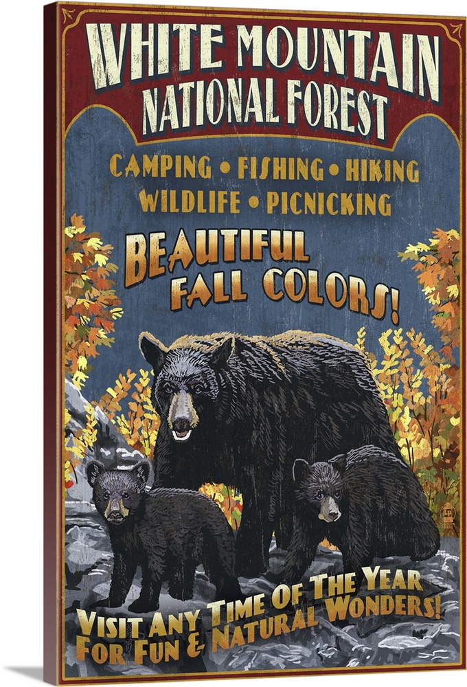White Mountains, New Hampshire - Black Bear Vintage Sign: Retro Travel Poster
