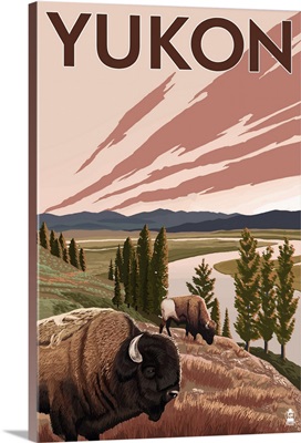 Yukon, Canada - Bison and River: Retro Travel Poster