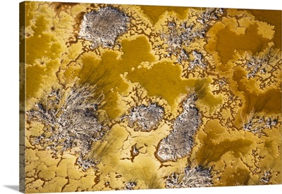 Halophiles Phenomena, Dead Sea - Aerial Photograph
