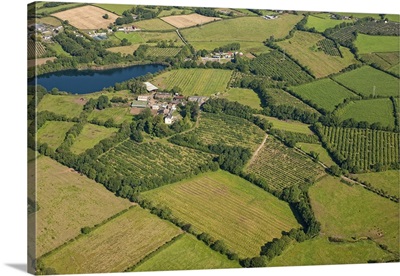 Loughgall Orchards, Armagh, Northern Ireland - Aerial Photograph