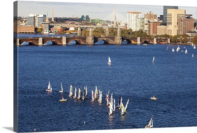 Regatta In The charles River, Boston, Massachusetts, USA - Aerial Photograph