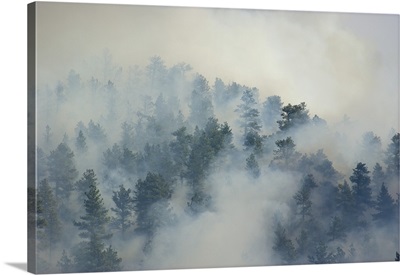 Smoke From a Wildland Fire, Rocky Mountains, Colorado - Aerial Photograph