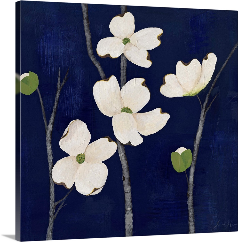 Contemporary painting of dogwood flowers against a dark blue background.