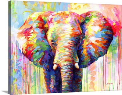 Colorful Elephant II