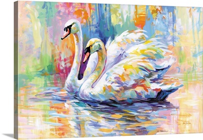 Colorful Swans On A Lake