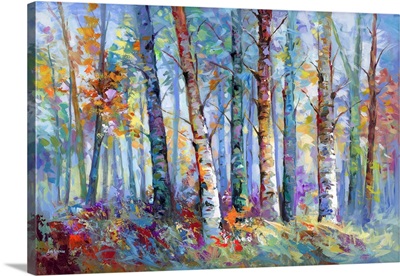 Forest With Birch Trees And Autumn Colors
