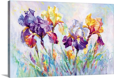 Irises In Bloom