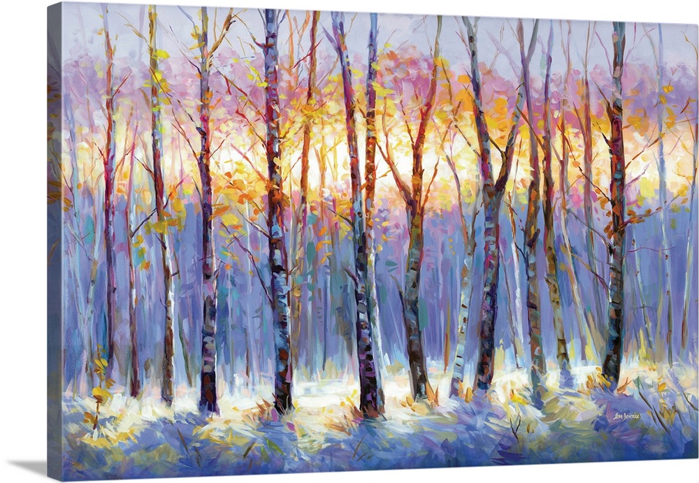 A forest of birch trees stands in soft morning light, their trunks glowing as warm tones of yellow, orange, and pink rise ...