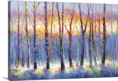 Sunrise Over The Birch Tree Forest image thumbnail