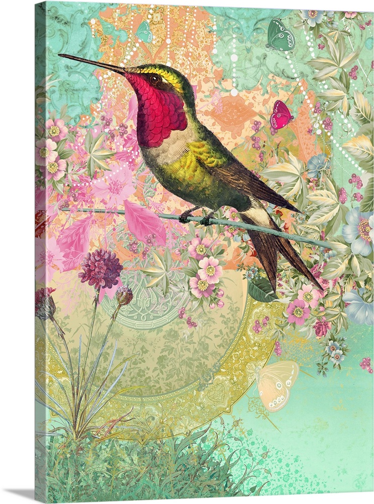 Hummingbird with ornate background
