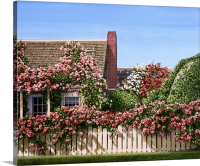 Nantucket Roses