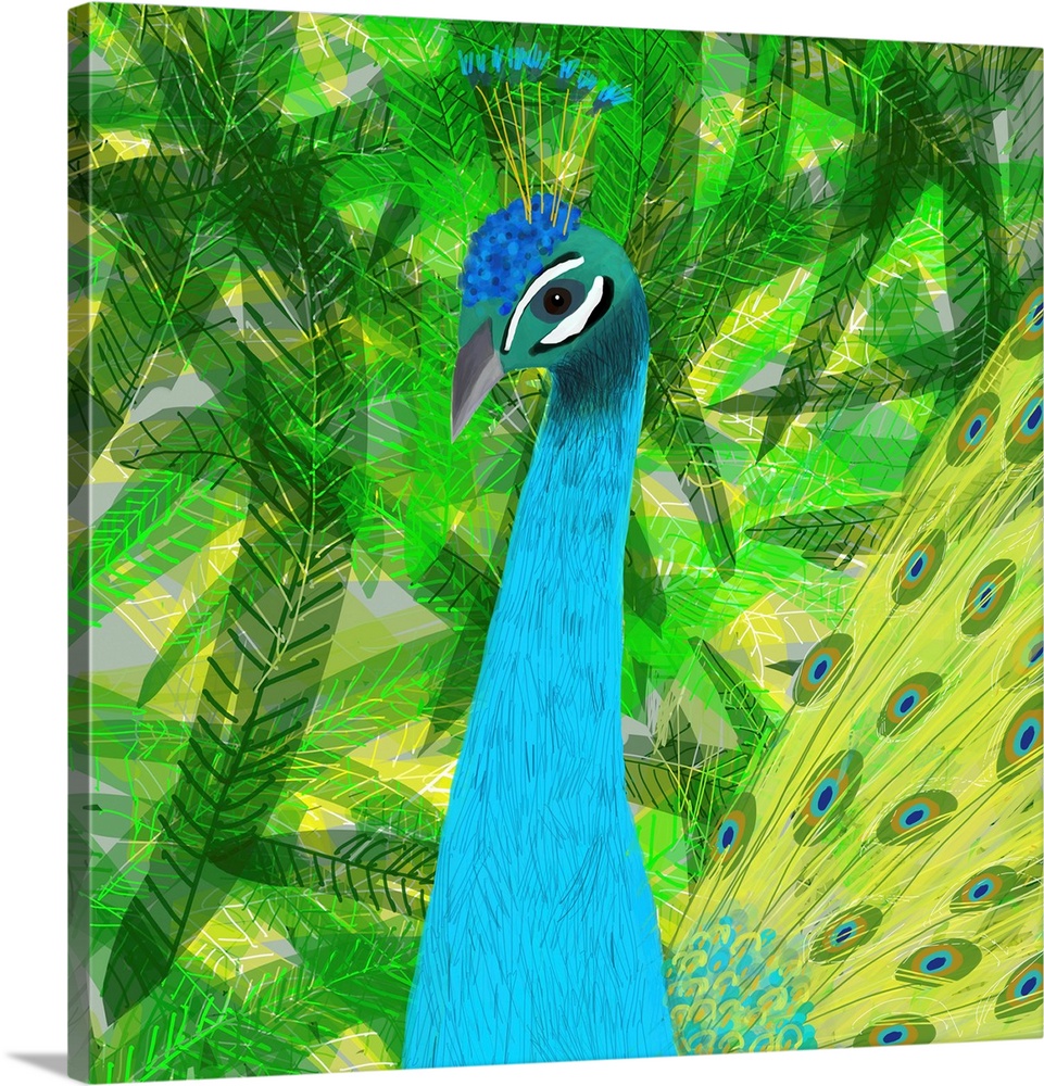 Peacock Jungle