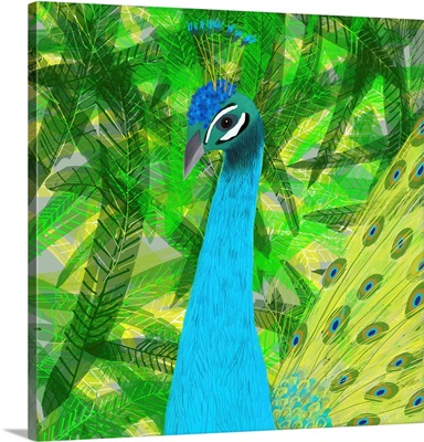 Peacock Jungle