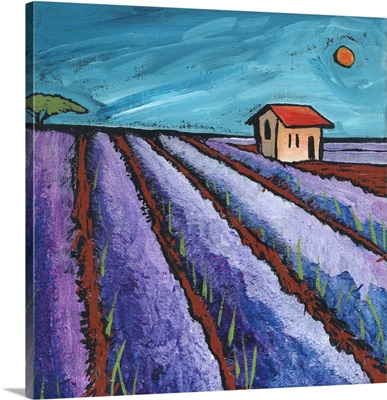 Provence image thumbnail