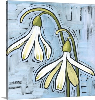 Snow Drops