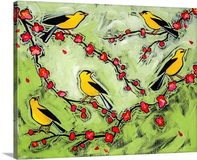 Springtime For Goldfinches
