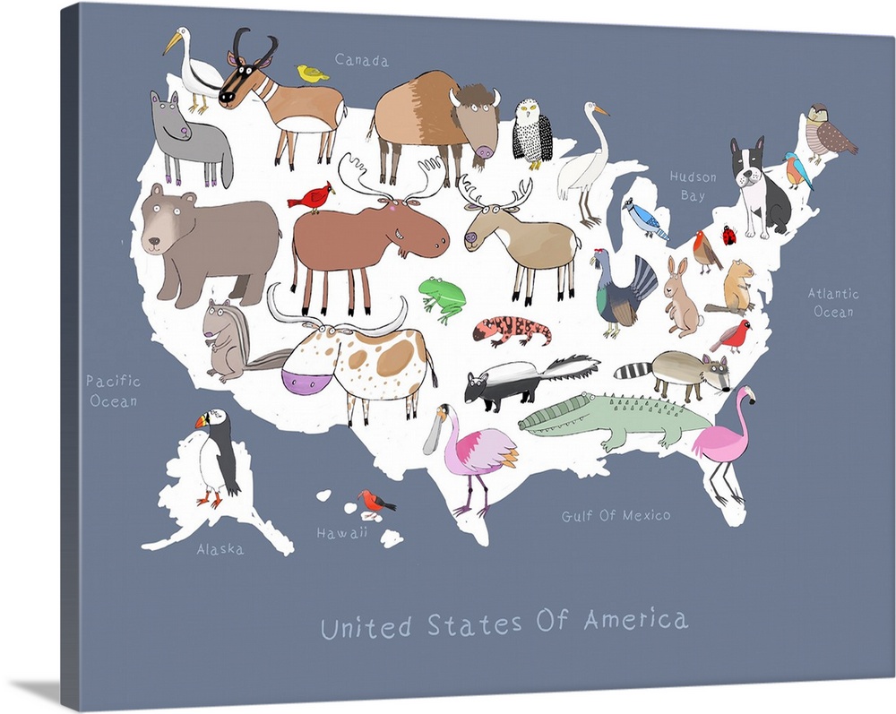 United States Of Animals