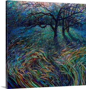 Abiquiu image thumbnail