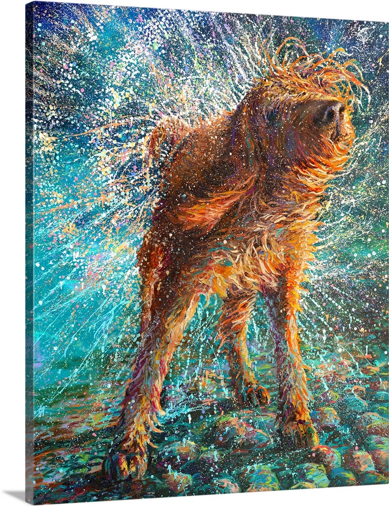 Brightly colored contemporary artwork of a dog shaking water off.