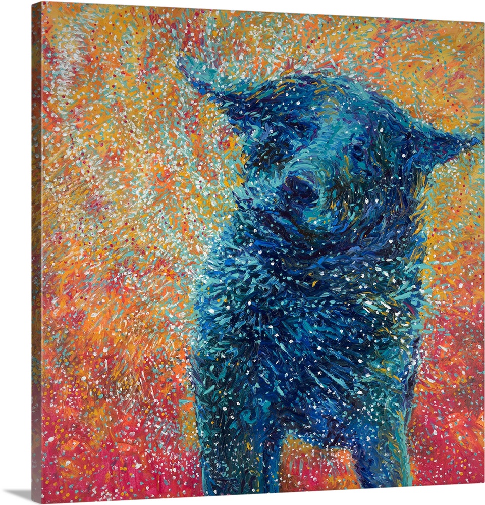 Brightly colored contemporary artwork of a big dog shaking off water.