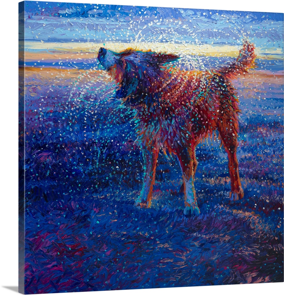 Brightly colored contemporary artwork of a dog shaking off water in a field.