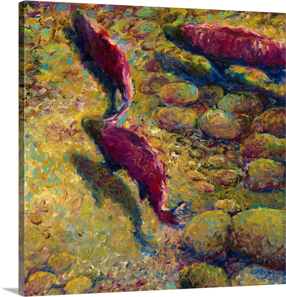 Brightly colored contemporary artwork of a fish swimming upstream.
