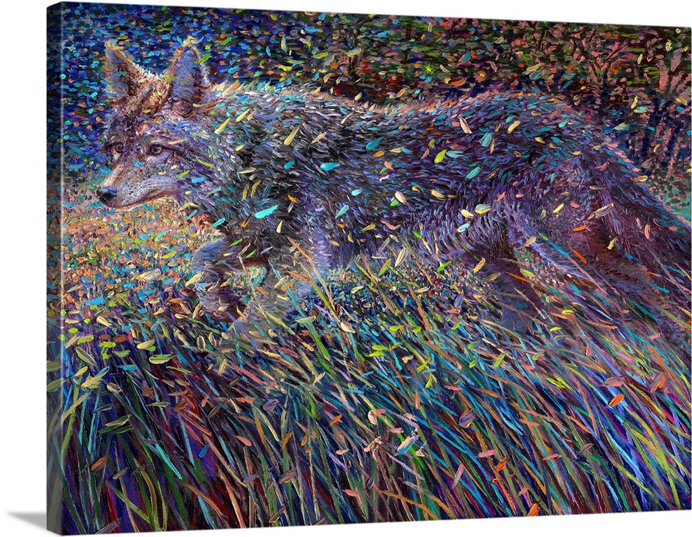 Brightly colored contemporary artwork of a coyote in a field.