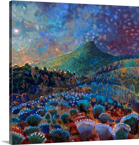 Coyote Springs Ranch image thumbnail