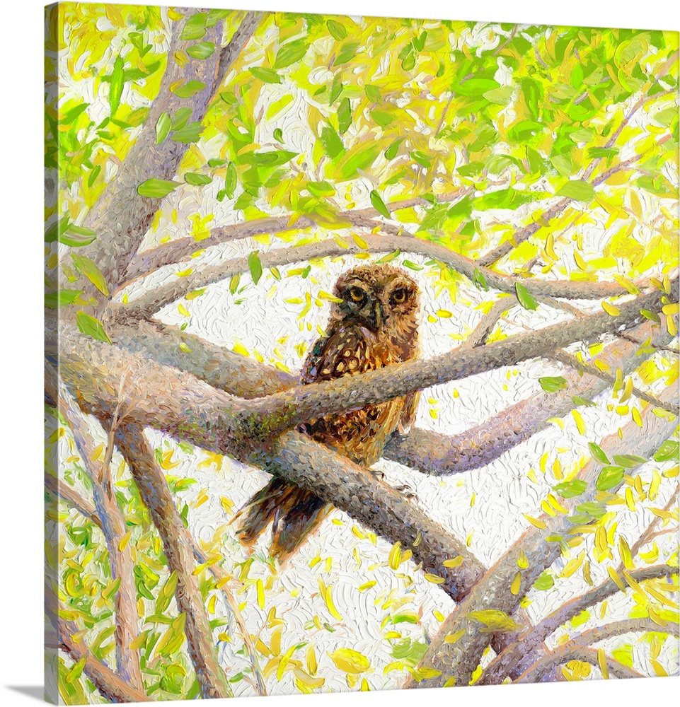 Brightly colored contemporary artwork of an owl sitting in a tree.
