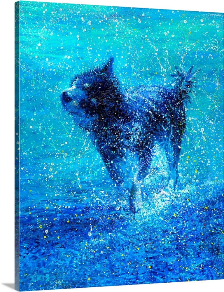 Brightly colored contemporary artwork of a husky shaking water off.