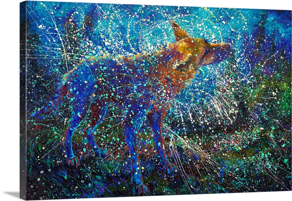 Brightly colored contemporary artwork of a dog shaking off water.