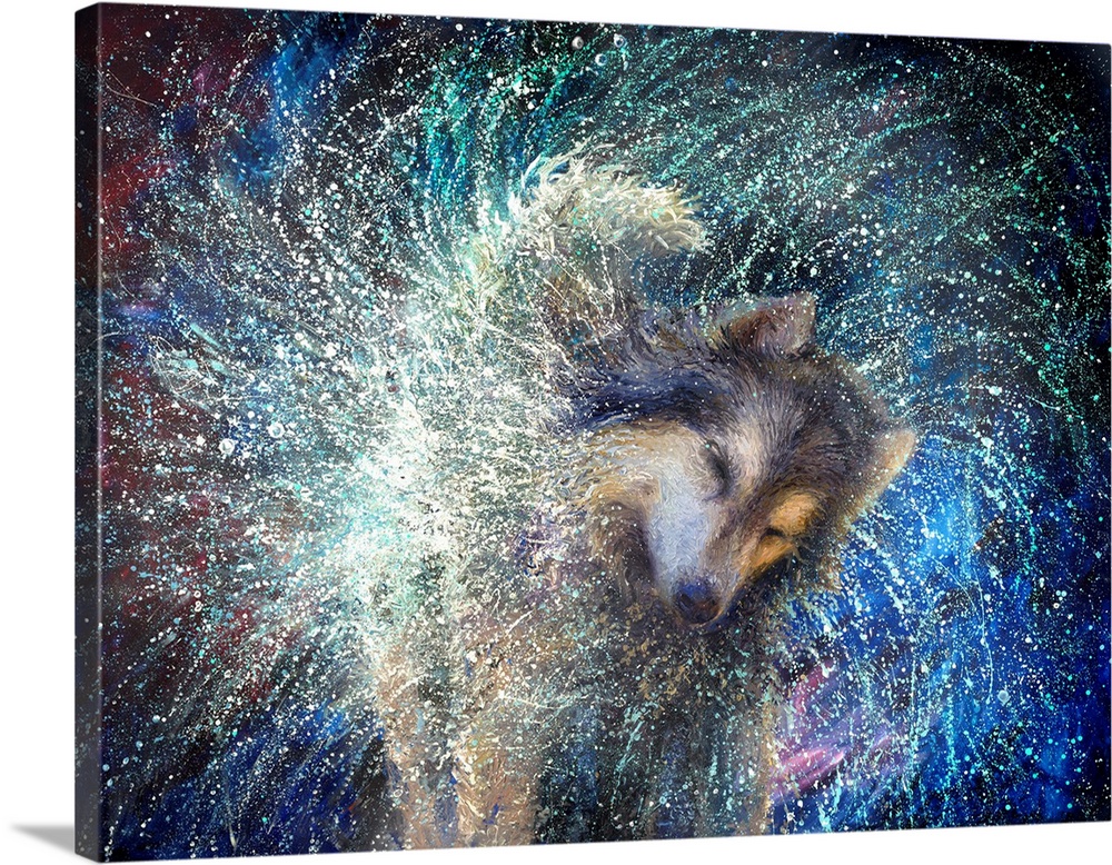 Brightly colored contemporary artwork of a husky shaking off water.