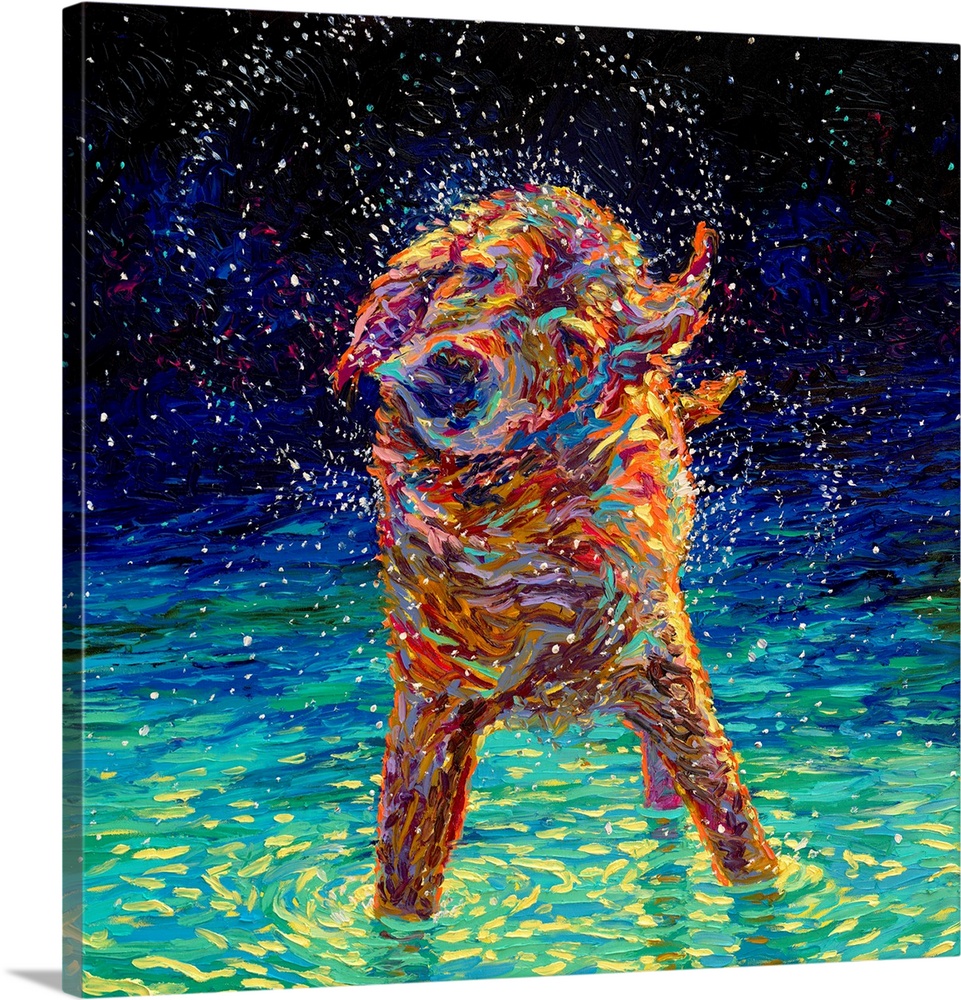 Brightly colored contemporary artwork of a dog shaking off water in the moonlight.